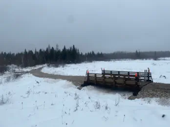 Finished Bridge Project