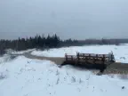 Finished Bridge Project