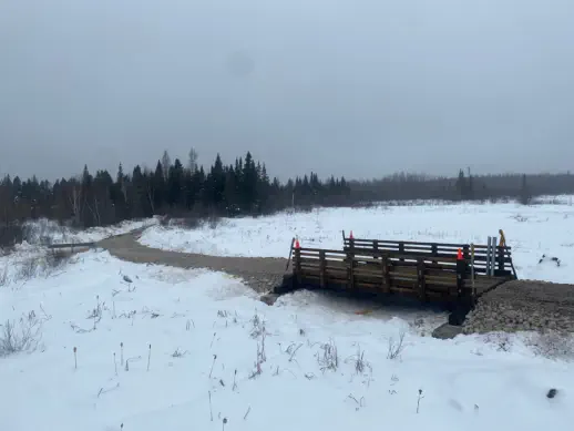 Finished Bridge Project